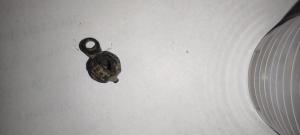 WhatsApp Image 2022-05-06 at 16.09.27.jpeg