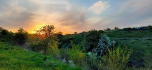 2022-05-07 19-30-05.JPG