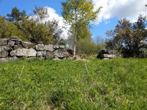 IMAG0326_новый размер.jpg