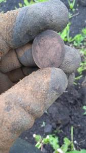 WhatsApp Image 2022-06-12 at 11.26.57.jpeg