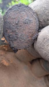 WhatsApp Image 2022-06-12 at 11.26.12.jpeg