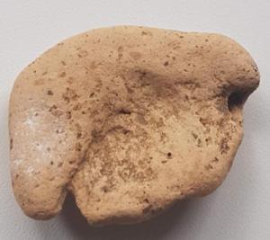 Screenshot_20220710-160959_Samsung Internet.jpg