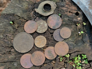 Скриншот 12-07-2022 145404.png