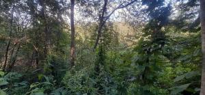 2022-07-14 17-32-55.JPG