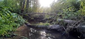 2022-07-14 17-48-14.JPG