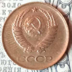 Screenshot_20220826-170917_Magnifier & Microscope.jpg