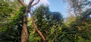 2022-07-14 18-11-07.JPG