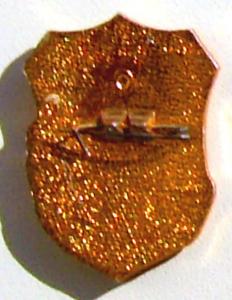 Знак Дружинник (3).JPG