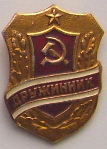 Знак Дружинник (4).JPG