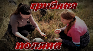 Снимок экрана (809).png