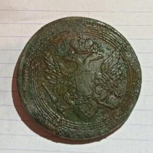 кольцевик 1.jpg