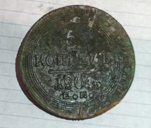 кольцевик 2.jpg