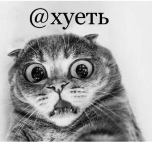 Screenshot_20221129-160836_Yandex Start.jpg