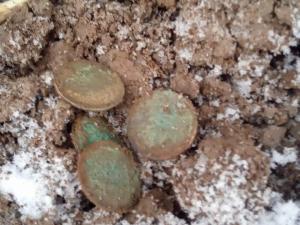 зимний коп 2.jpg