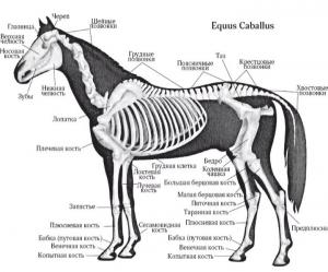 Screenshot_20221119-180503_Yandex Start.jpg