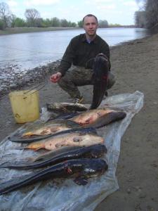 подводная охота на Ахтубе -1.jpg