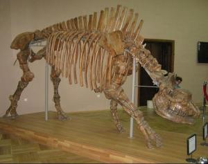 Screenshot_20221119-181452_Yandex Start.jpg