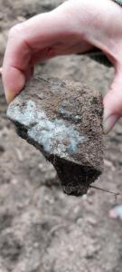 20221115_140541 2.jpg