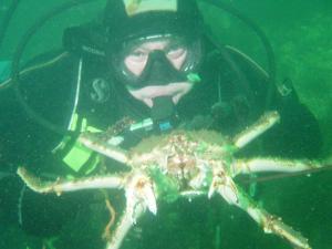 краб под водой.jpg