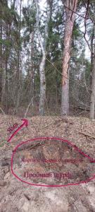 пробный шурф.jpg