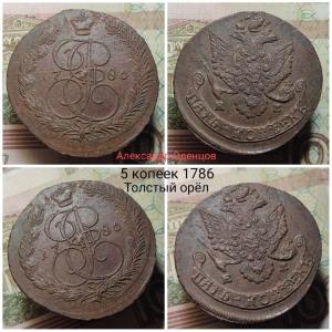 Толстый орёл.jpg