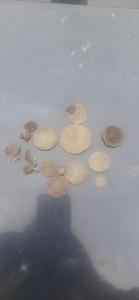 20220915_131214 (1).jpeg