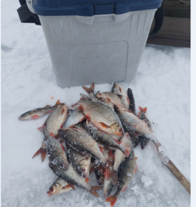 Скриншот 23-12-2022 143126.png