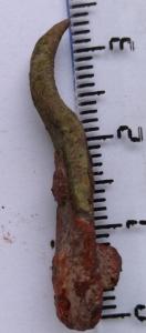 Screenshot_20221207-180100_Samsung Internet.jpg