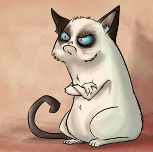 Screenshot_20221204-092638_Yandex Start.jpg