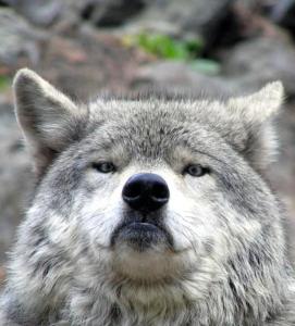 Screenshot_20221202-183823_Yandex Start.jpg