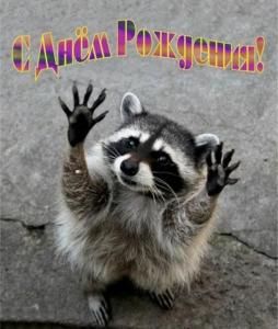 Screenshot_20230108_112116_Yandex Start.jpg