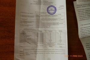 P1090869 (Medium).JPG