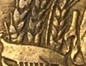 Новый рисунок (1).jpg