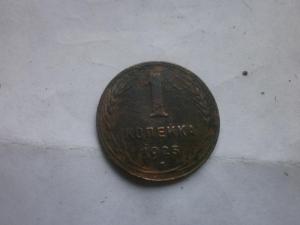 котик 2023 003.JPG