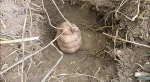 Screenshot_20230120_112057_Yandex Start.jpg