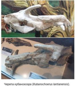 Screenshot_20230121_141057_Yandex Start.jpg