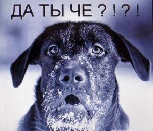 Screenshot_20230121_143513_Yandex Start.jpg