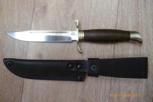 P1090868 (Medium).JPG