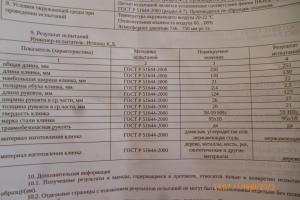 P1090873 (Medium).JPG