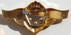 Воинский знак Классный специалист 3кл. (2).JPG