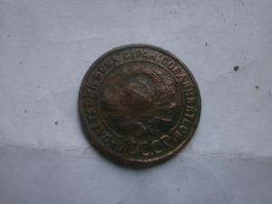 котик 2023 004.JPG