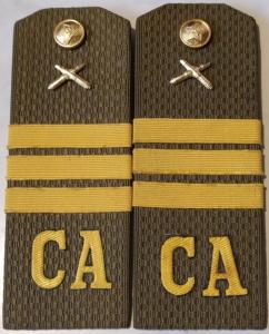 Погоны СА 91г..jpg