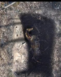 Screenshot_20230127_234542_Yandex Start.jpg