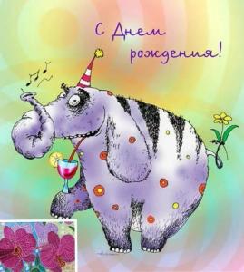 smeshnye-kartinki-s-dnyom-rozhdeniya_30.jpg