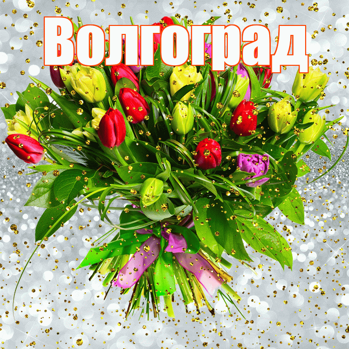 с-днём-рождения-Волгоград.gif