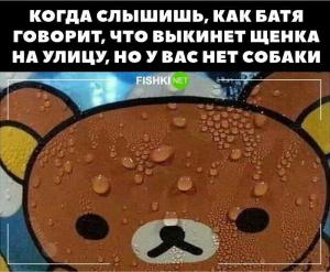 scale_1200 (29).jpeg