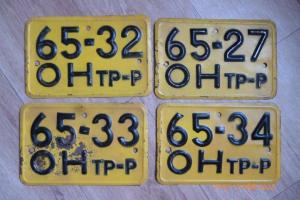 P1090895 (Large).JPG