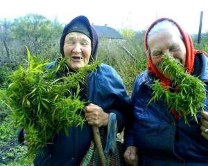 Screenshot_20230129_221427_Yandex Start.jpg