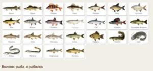 Screenshot_20230306_141719_Yandex Start.jpg