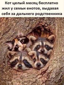 scale_1200 (11).jpeg